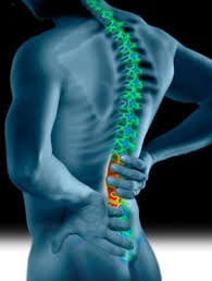 coluna vertebral